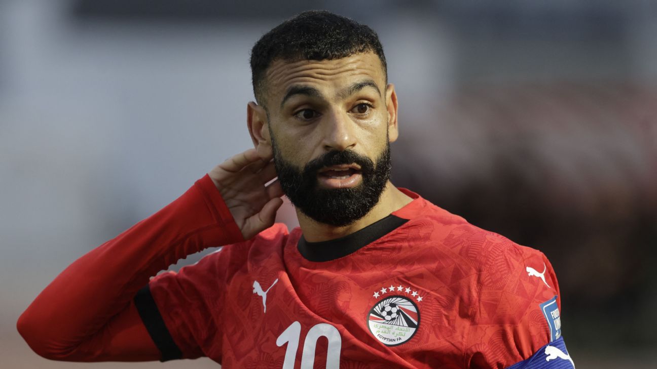 FIFA要求埃及世界杯球衣去掉7颗星：埃及足协回应